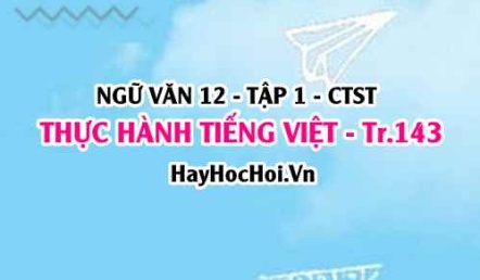 Soạn bài Thực hành Tiếng Việt trang 143 Ngữ văn 12 Chân trời sáng tạo